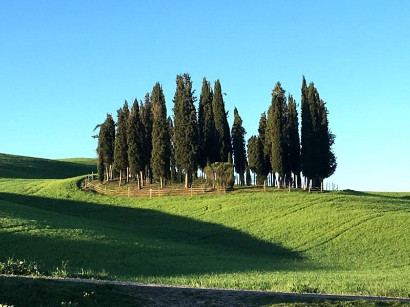 Finestra Sulla Val D'Orcia Apartment San Quirico dʼOrcia Exterior foto